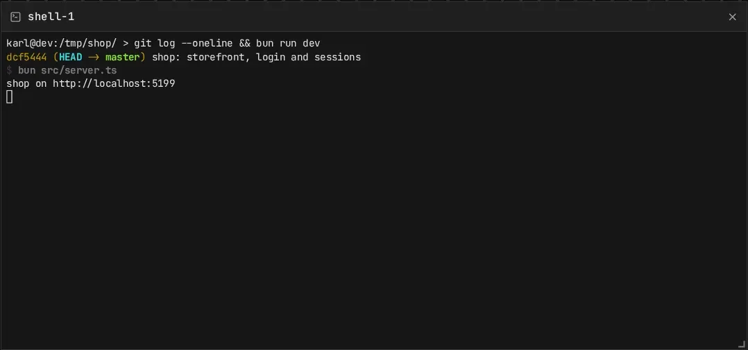 A terminal frame running the project’s dev server